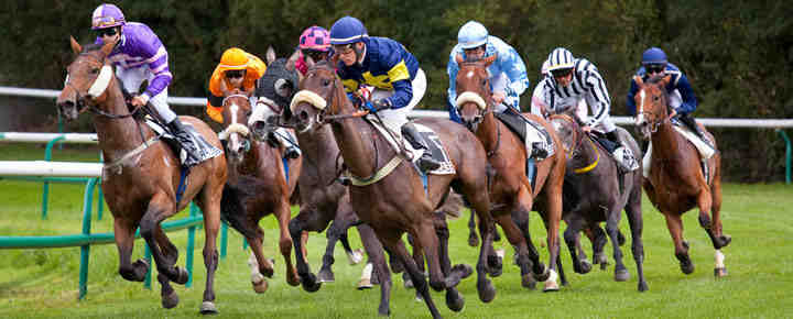 Comment Parier Au Course De Chevaux - Hippodromes-parisiens.fr