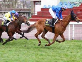 Comment Jouer 6 Chevaux Au Quinte Hippodromes Parisiens Fr