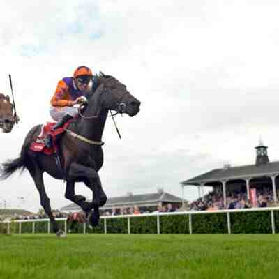 Comment devenir amateur au trot ?