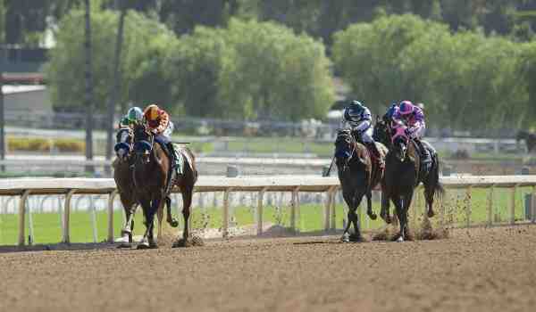 Comment gagner au course Attele ?