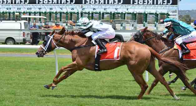 Comment gagner aux courses de chevaux ?