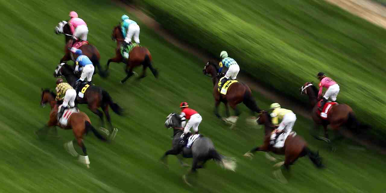 Comment jouer un cheval gagnant placé ?