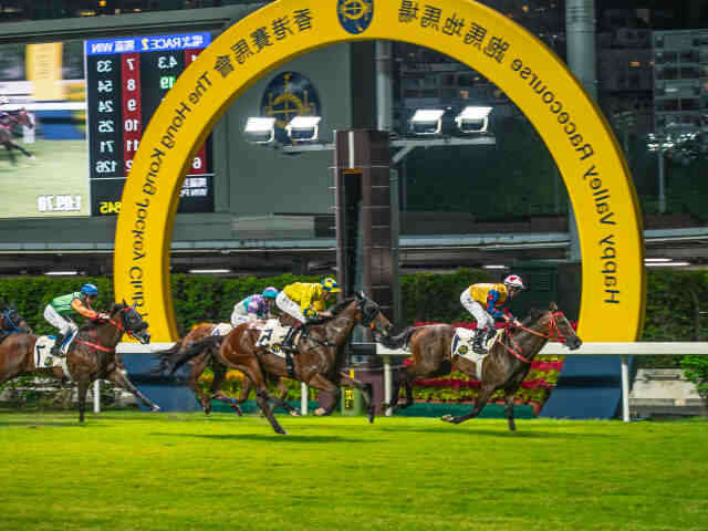 Comment reconnaître un bon cheval de course ?