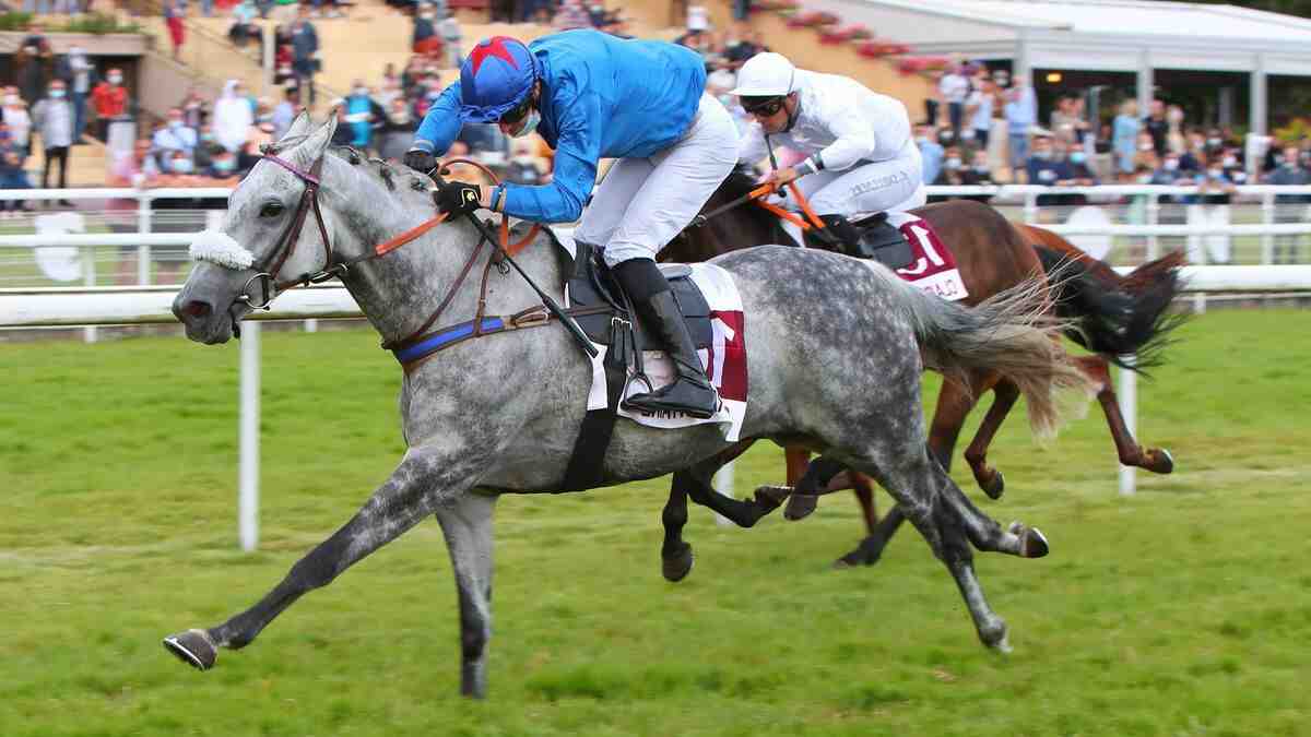 Quels sont les meilleurs jockeys en Steeple-chase ?