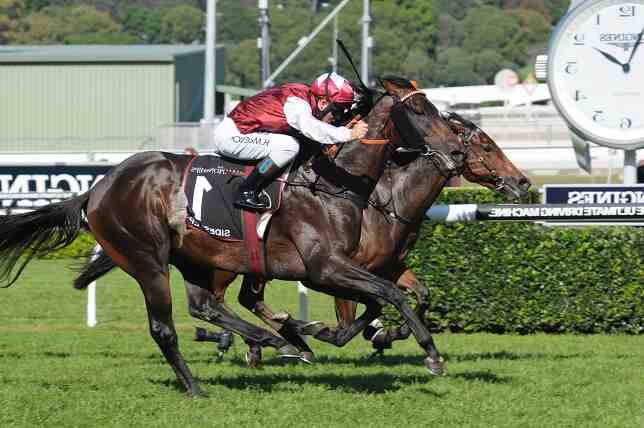 Comment jouer un cheval gagnant placé ?