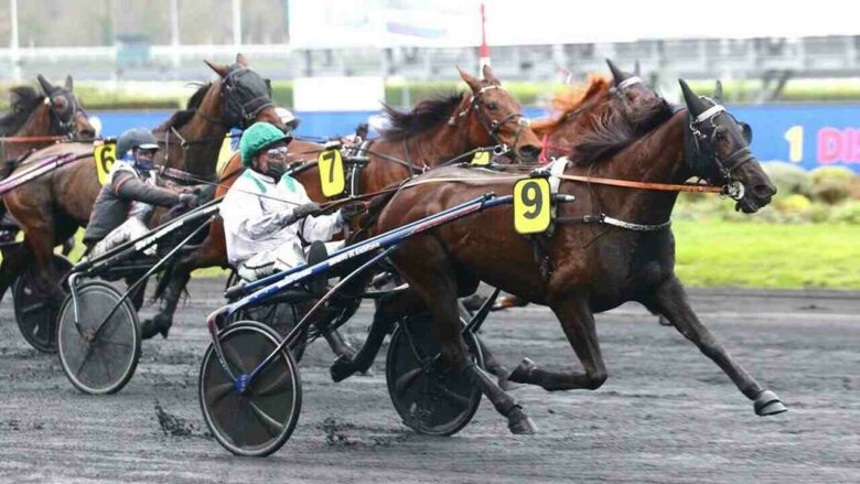 R Sultats Pmu Arriv E Du Quintette Du Jour Hippodromes Parisiens Fr