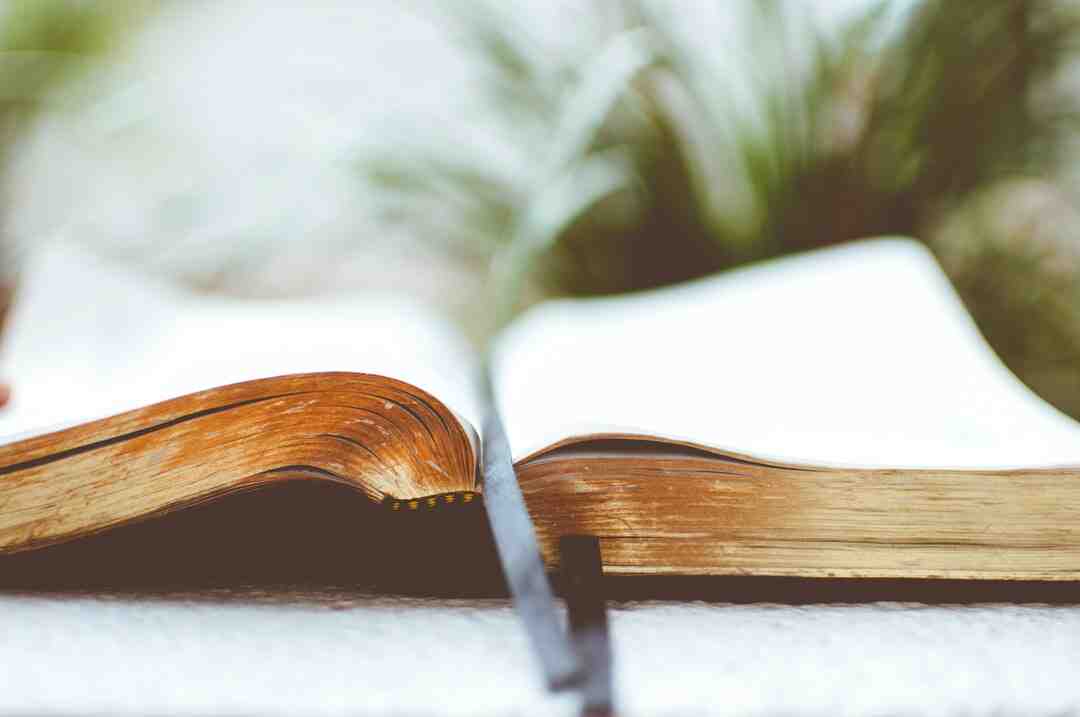 Comment faire pour parier sur PMU ?