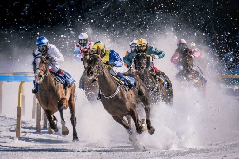 Découvrez les résultats de la quinte de demain ! hippodromesparisiens.fr